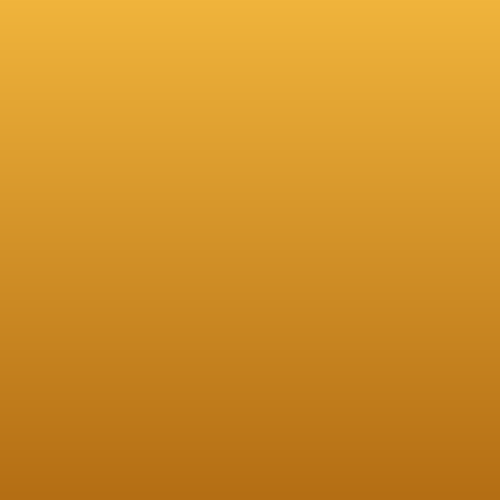 Raid